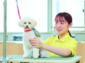 国際動物専門学校[美容・デザイン学科]学校説明会（選んだ学科を体験できる日）