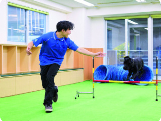 [ドッグスペシャリスト学科]学校説明会（選んだ学科を体験できる日）の画像