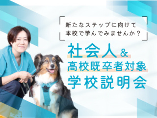 社会人・高校既卒者向け説明会の画像