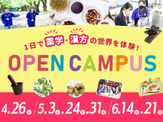 ハマヤクオープンキャンパス！～未来に効く学びを体験しよう～の画像