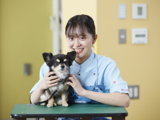 本気で愛玩動物看護師をめざすならヤマザキ動物専門学校へ