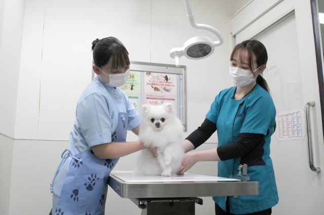 施設・設備のポイント 写真2