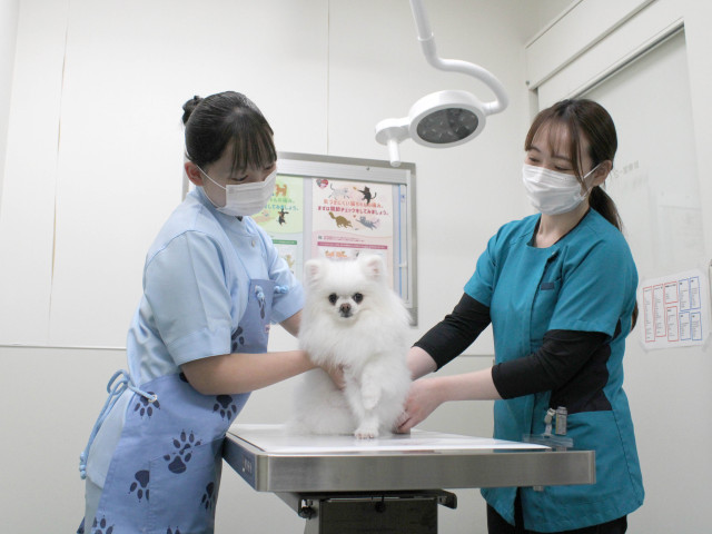 施設・設備のポイント 写真2