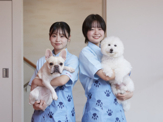 登録数3500頭以上のモデル犬制度