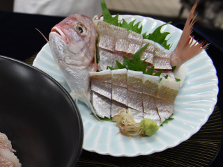 【日本料理】小鯛のお刺身の画像