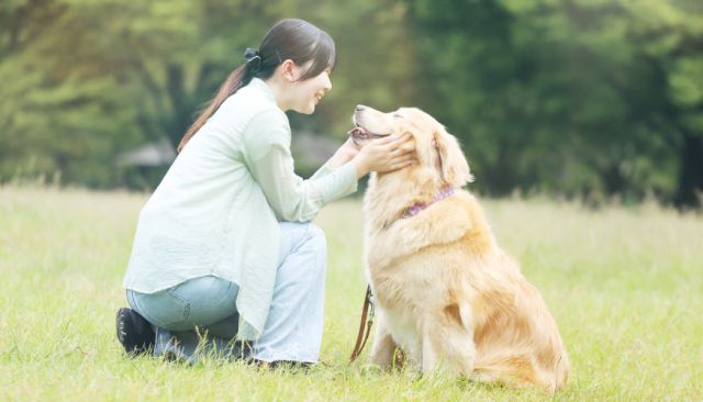 ペットビジネス学科 「すべてはペットの幸せのために。」確かな知識とケア技術でペットと飼い主様を笑顔に