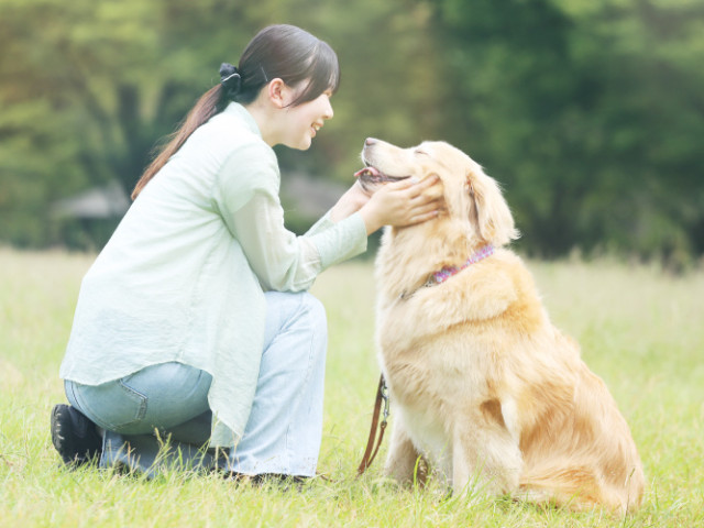 ペットビジネス学科 「すべてはペットの幸せのために。」確かな知識とケア技術でペットと飼い主様を笑顔に