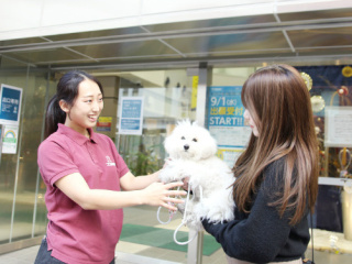 注目のカリキュラム