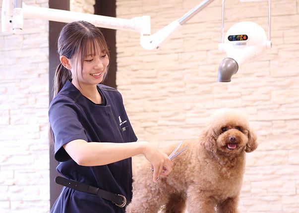 ペットビジネス学科 トリマーコース 高度な技術とビジネススキルを備えた、ペットにも飼い主様にも信頼されるトリマーへ