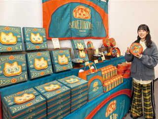 造形学科学部・学科・コース情報