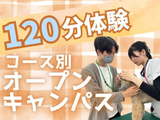 【コース別オープンキャンパス】6/13(土)の画像