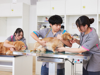 注目のカリキュラム