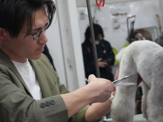 6月20日（土）本格トリマー体験 in サロンの画像