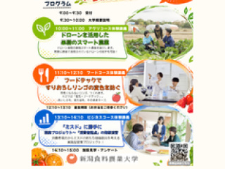 １日大学生体験会の画像