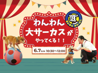 【特別イベント】わんわん大サーカスがやってくる！の画像
