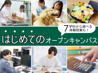 【はじめてのオープンキャンパス】7学科から選べる体験授業付き！の画像