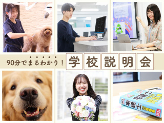 【迷ったらコレ！】90分でまるっと分かる学校説明会の画像