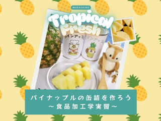 パイン缶を作ってみよう！の画像