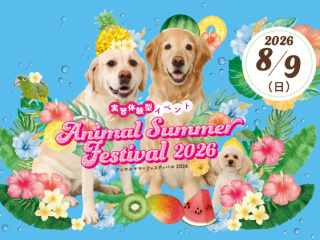 Animal Summer Festival 2026の画像
