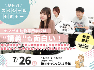 夏休みスペシャルセミナーの画像