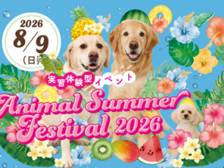 Animal Summer Festival 2026の画像