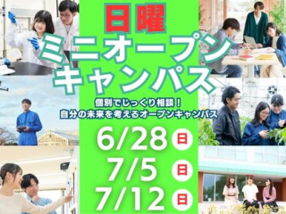 日曜ミニオープンキャンパス開催！の画像