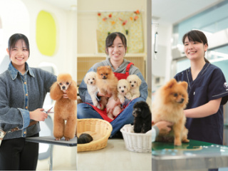 【新高校3年生・社会人対象★】選べる！体験実習オープンキャンパス開催！の画像
