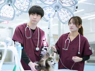 【新高校3年生・社会人対象★】選べる！体験実習オープンキャンパス開催！の画像