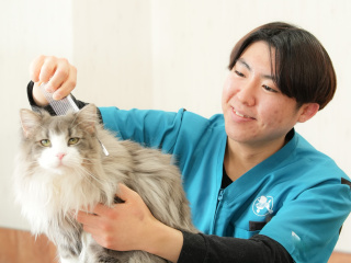 3時間で学校まるわかりオープンキャンパス開催！体験実習も選べる！の画像
