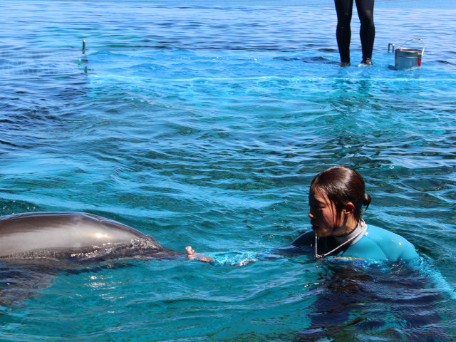 海洋生物・アクアテクノロジー大学科（大学併修学科） 大学も同時卒業できる！！海洋生物・アクアテクノロジー大学科