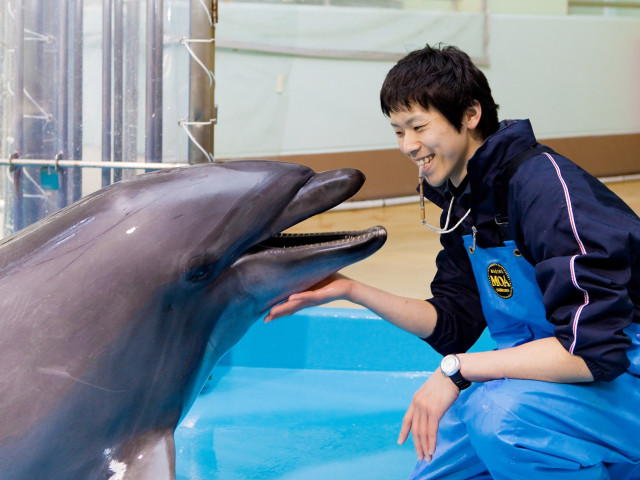 海洋生物・ドルフィン学科 水族館就職を最短で目指す！フィッシュトレーニングも充実！