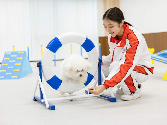 動物管理学科 ペット保育＆ケアコース ペットとの共生社会を支える保育のプロを育成します