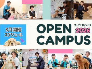 【夏のオーキャン情報♪】選べる2つの体験＆ギフトカード抽選会🎉夏休みスペシャルプログラムの画像