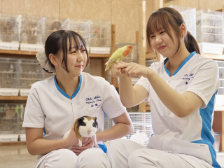 【コース別オープンキャンパス】9/26(土)　保護者説明会同時開催！の画像