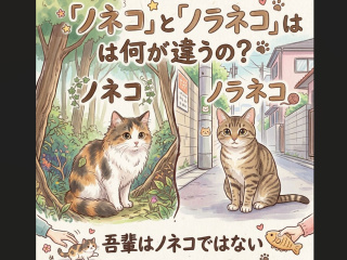 【体験授業！】ビジネス実務学科「「ノネコ」と「ノラネコ」は何が違うの？」の画像