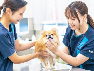 愛玩動物看護学科学部・学科・コース情報