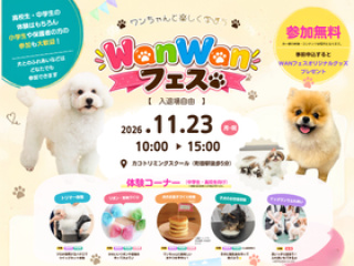 WANWANフェスの画像