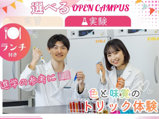 11.14 土【選択】実験：色と味覚のトリック ランチ付の画像