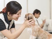 学部・学科・コース情報
