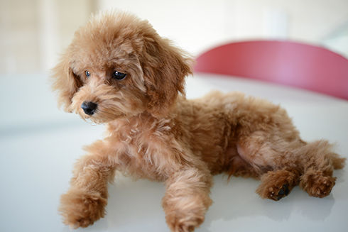 施設・設備のポイント 写真1