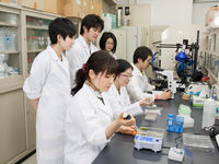 薬学部学部・学科・コース情報
