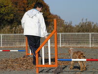 施設・設備のポイント1