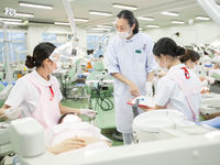 学部・学科・コース情報