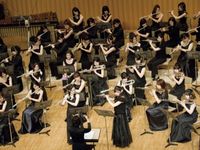 学部・学科・コース情報