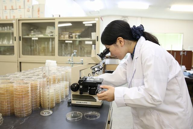 工学部 環境エンジニアリング学科 クリーンエネルギー分野 クリーンエネルギー分野