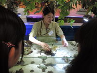Bタイプ 学科別体験 < 2号館開催 ▷ 自然環境・動物飼育学科 >の画像