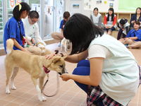 Bタイプ 学科別体験 < 3号館開催 ▷ ドッグスペシャリスト学科 >の画像