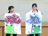 学部・学科・コース情報