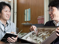 学部・学科・コース情報