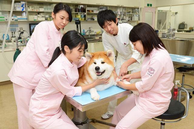 施設・設備のポイント 写真2